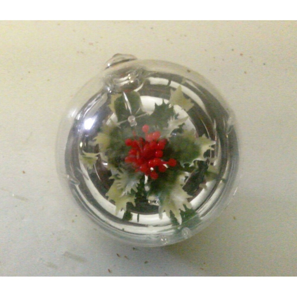 Jewelbrite Diorama Christmas Ornament Plastic Holly and Berry Decoration 1960's